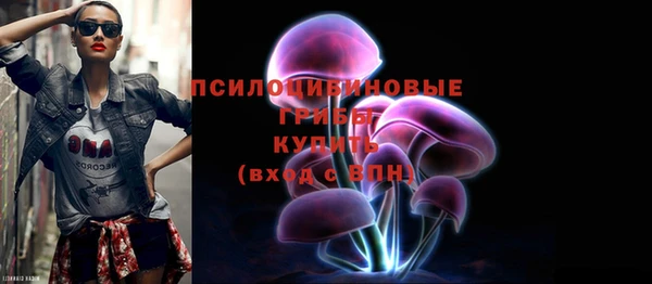 эйфоретик Алзамай