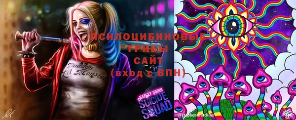 мяу мяу мука Алексеевка
